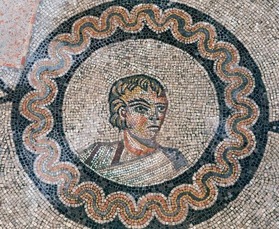 Detail des Bodens der frühchristlichen Basilika von Aquileia, Udine von Unknown